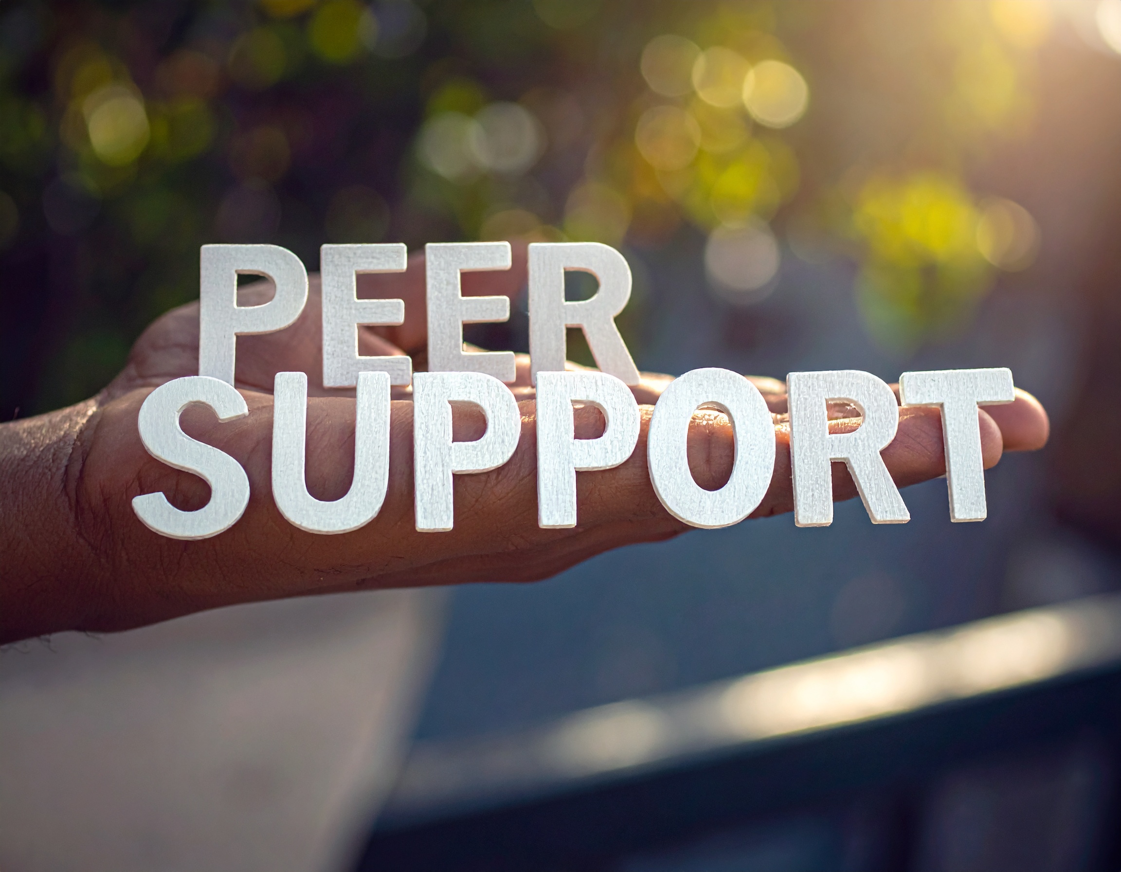 Peer Support Graphic