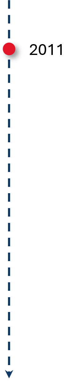 TimeLine 2010 Short