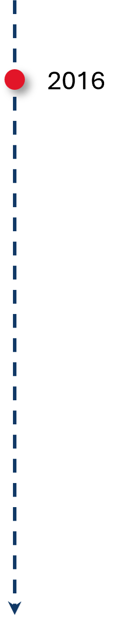 TimeLine 2016 Short